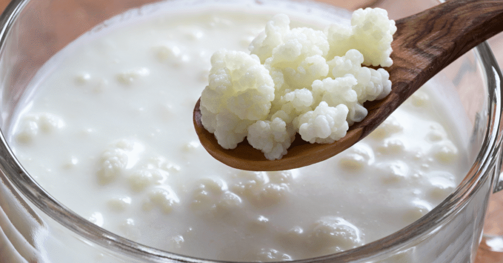 fermented foods comfort food recipes comfortfoodrecipes net .com in comfort food recipes by chef zak